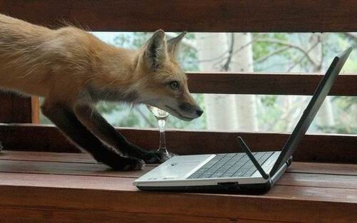 Visual FoxPro