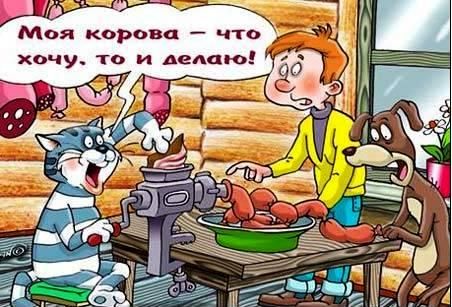 Ужасы из Простоквашино :)