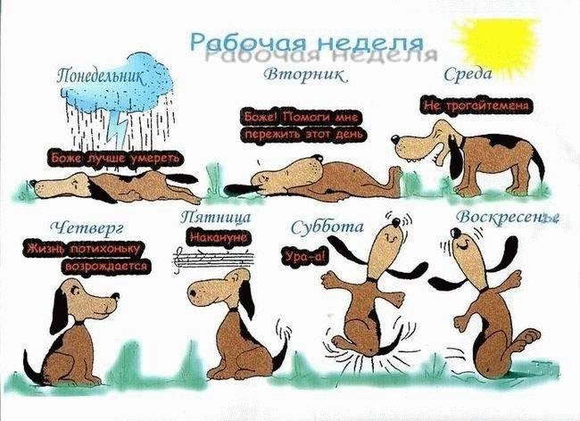 Рабочая неделя