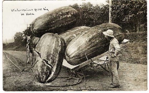 Исторические кадры. Они не знали про фотошоп.