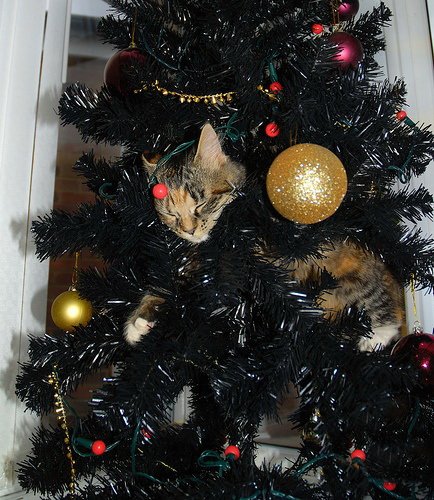 Кошки и мышки :)) Мило...