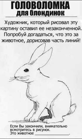 Головоломки для блондинок