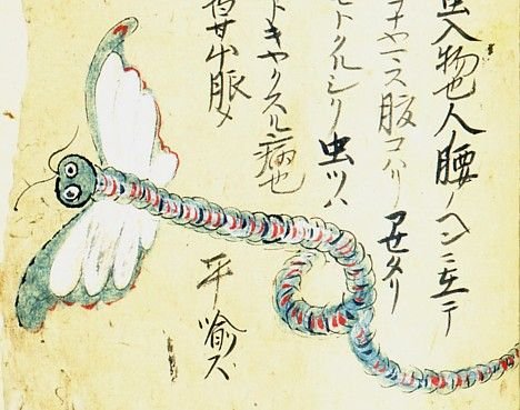 Японские средневековые микробы