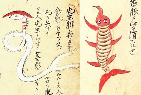 Японские средневековые микробы