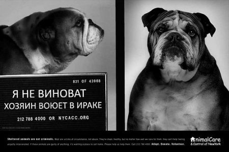 Социальная реклама