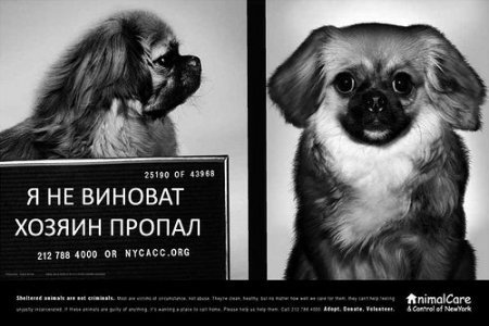 Социальная реклама