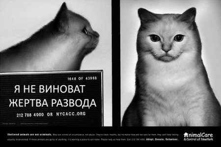 Социальная реклама