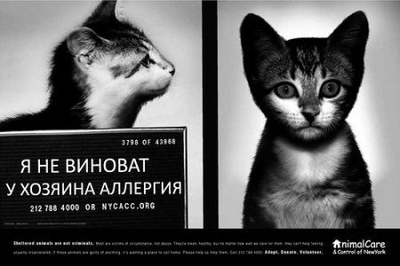 Социальная реклама