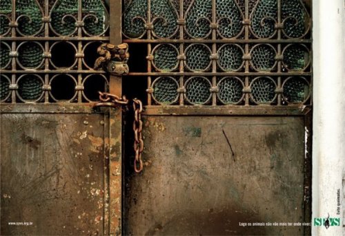 Тест на внимательность - найди животное