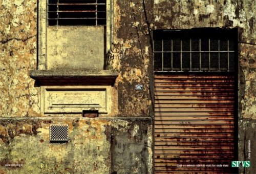 Тест на внимательность - найди животное