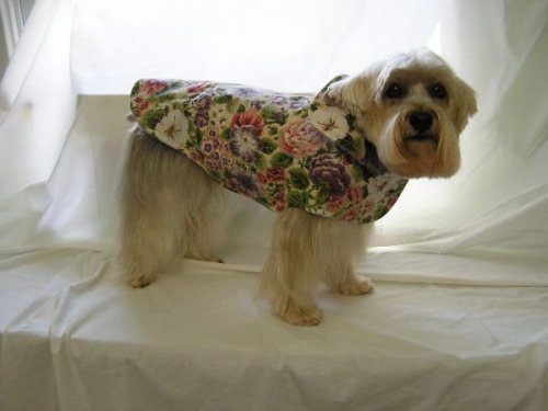  Одежда для собак