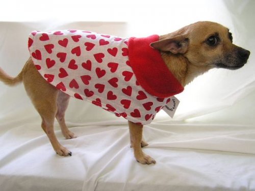  Одежда для собак