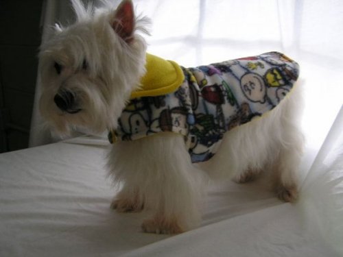  Одежда для собак