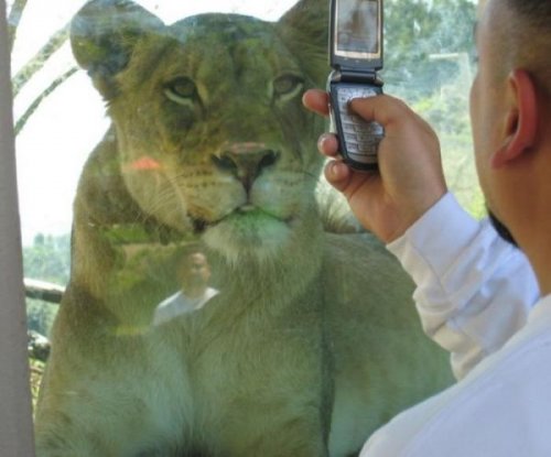  Животный позитив