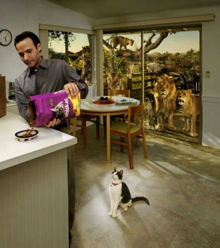 Креативчик 