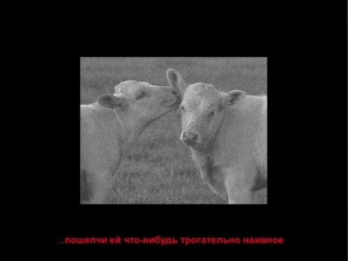 Понедельник - день тяжёлый