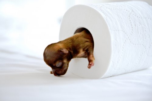 Какая прелесть!