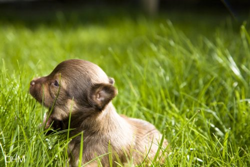 Какая прелесть!