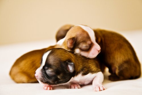 Какая прелесть!