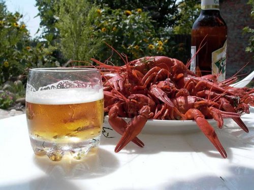 Всех с ПЯТНИЦЕЙ !!!