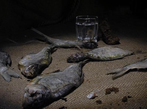 Всех с ПЯТНИЦЕЙ !!!