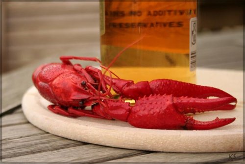 Всех с ПЯТНИЦЕЙ !!!