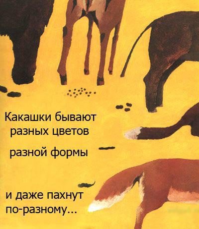 Книжка под названием "Все какают"