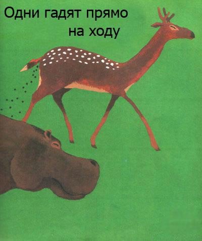 Книжка под названием "Все какают"