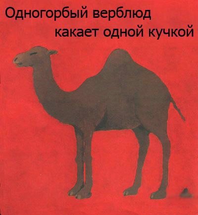 Книжка под названием "Все какают"