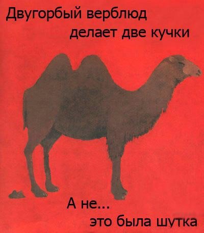 Книжка под названием "Все какают"