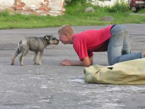 Животные и человек