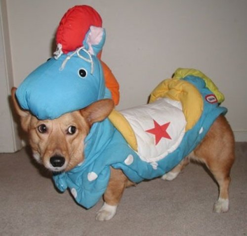 Мода животных