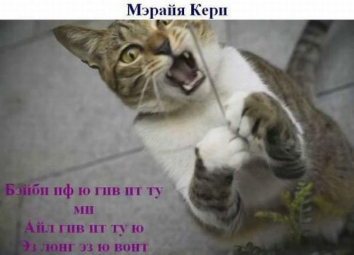 Что бы спели коты, если бы умели петь