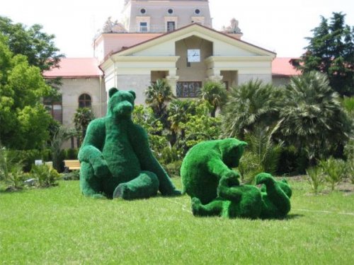 Карикатуры