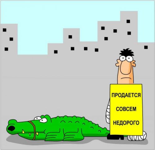 Карикатуры