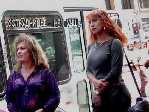 Никогда не сдавайся!