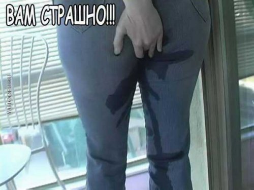 Никогда не сдавайся!