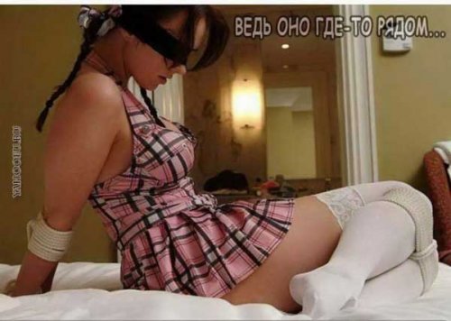 Никогда не сдавайся!