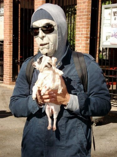 Мода животных