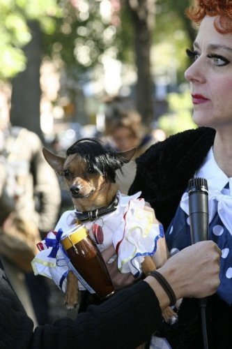 Мода животных