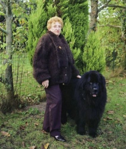 Одежда из шерсти домашних любимцев