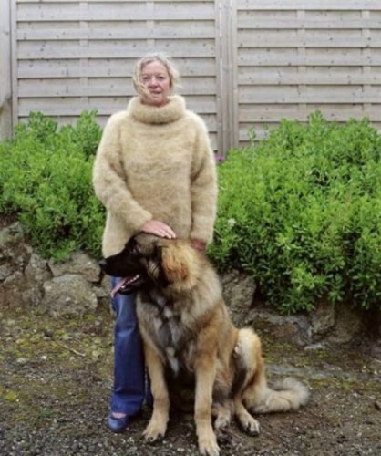 Одежда из шерсти домашних любимцев