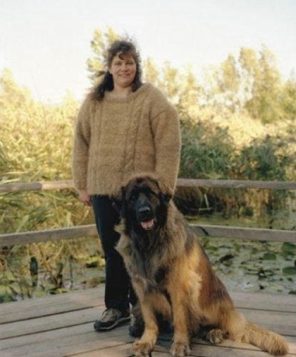 Одежда из шерсти домашних любимцев