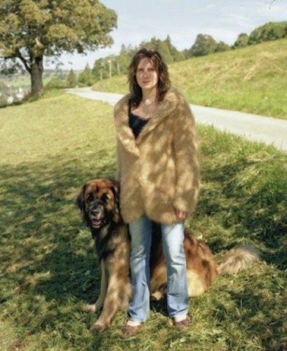 Одежда из шерсти домашних любимцев