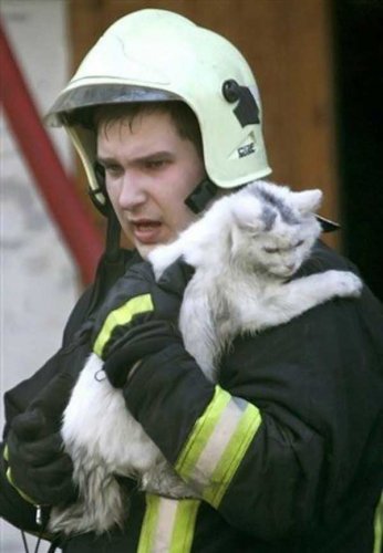 Спасатели и животные