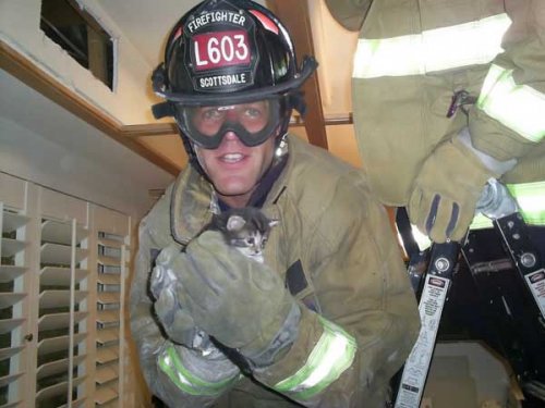 Спасатели и животные