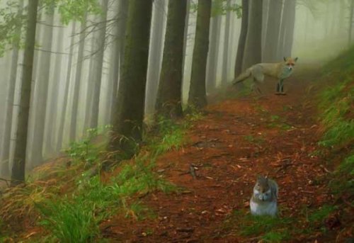 Юмор :) Баяны