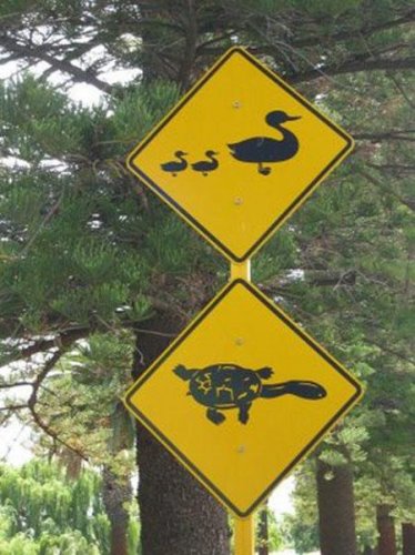 Прикольные знаки