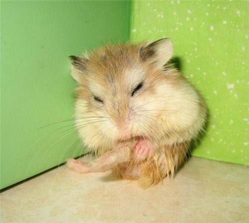 Юмор, позитивчик :)