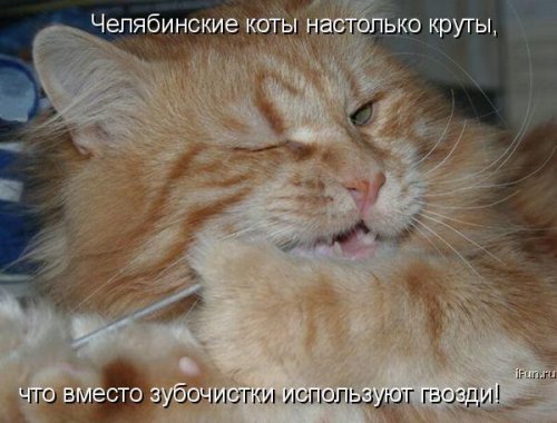 Юмор, позитивчик :)